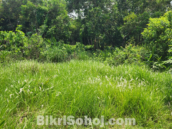 ৩৮ শতাংশ (ডেসিমেল) জায়গা বিক্রয় করা হবে